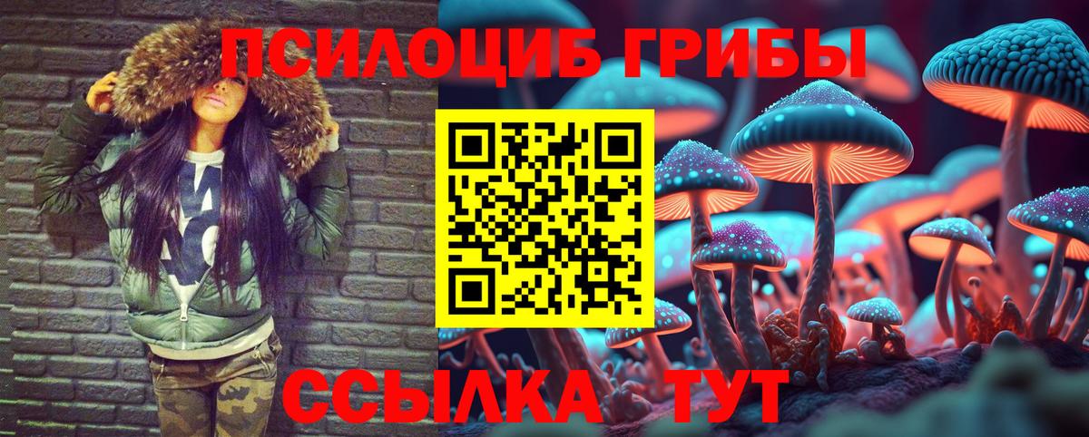 Псилоцибиновые грибы прущие грибы Похвистнево
