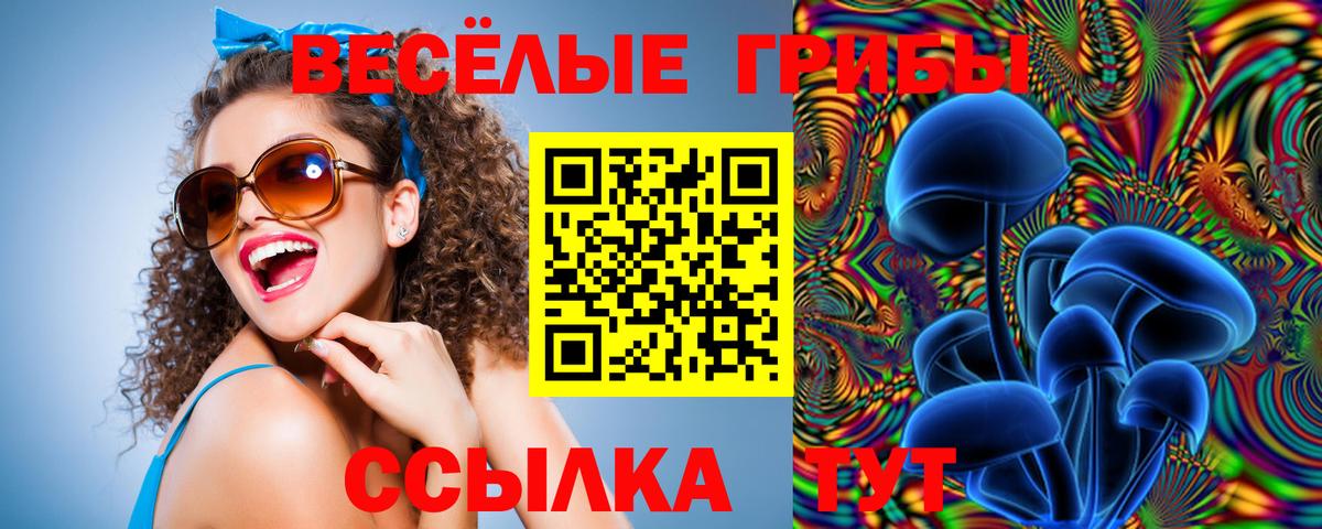 Похвистнево  Галлюциногенные грибы GOLDEN TEACHER  Вход с VPN 